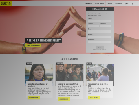 Amnesty_Screen